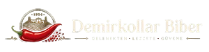 Footer Logo